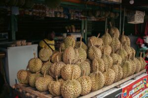 the famous durian fruit